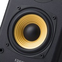 R1000T4 BK 2.jpg